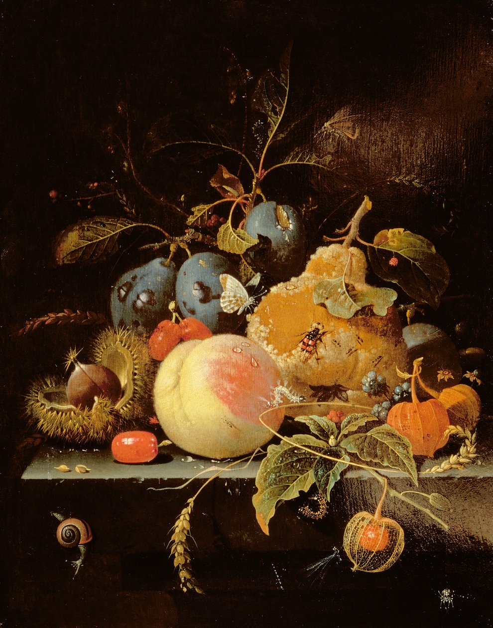 Still Life of Fruit and Nuts on a Stone Ledge by Abraham Mignon