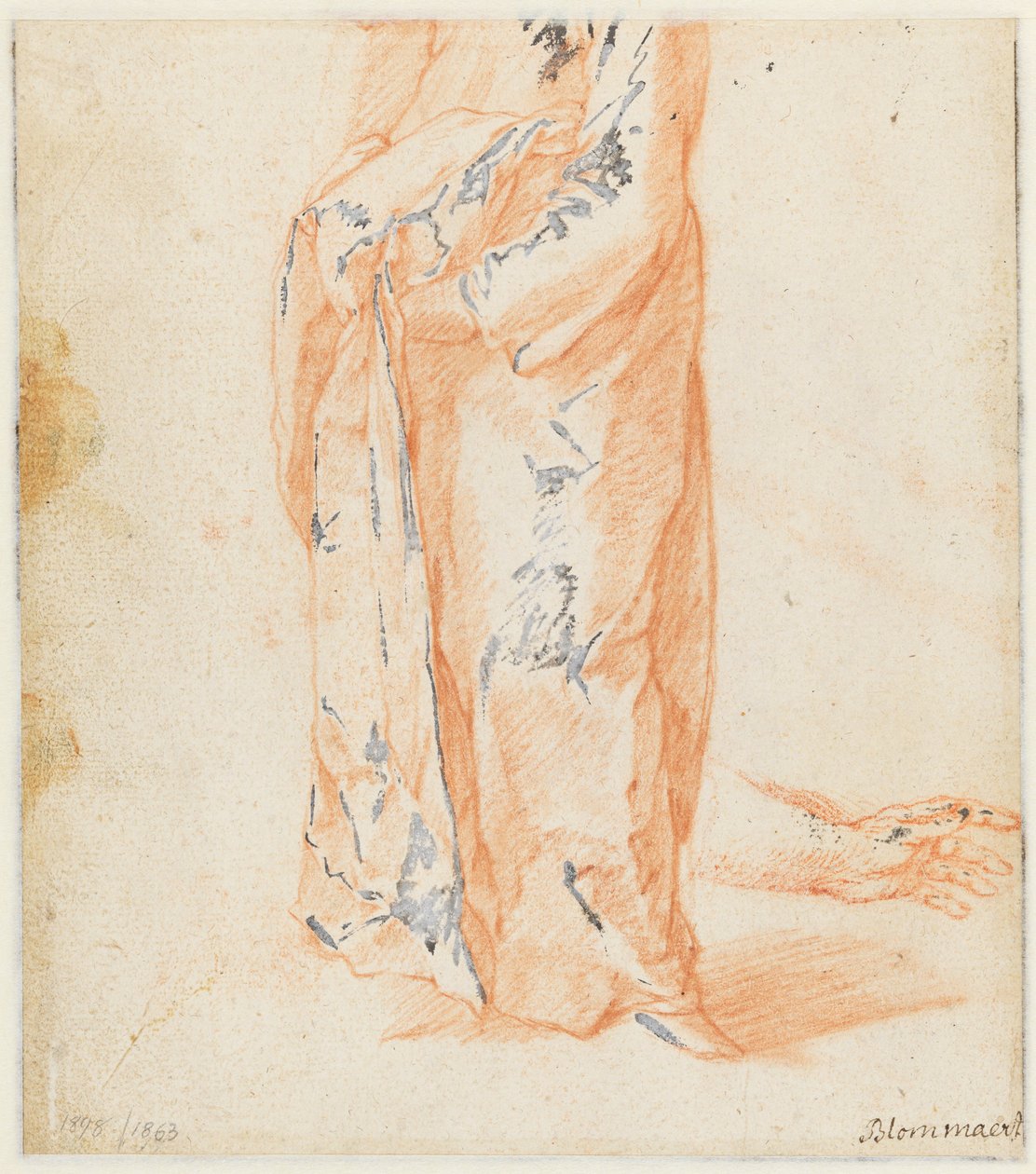 Studies of a Cow by Abraham Bloemaert