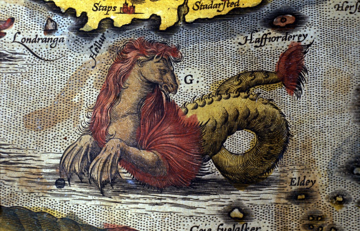 Representation of a marine monster half horse half sea snake. Plate from an edition of 