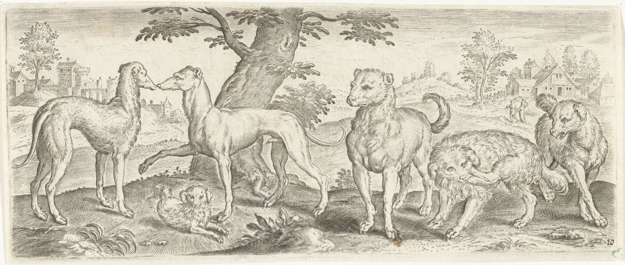 Dogs Animals (series title) by Abraham de Bruyn (possibly)