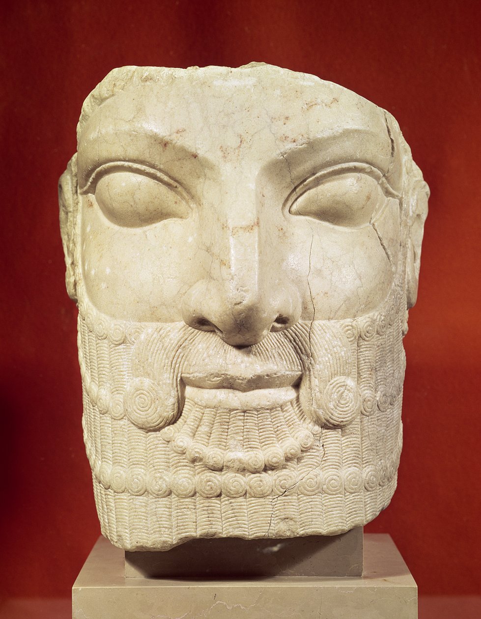 Royal head by Achaemenid