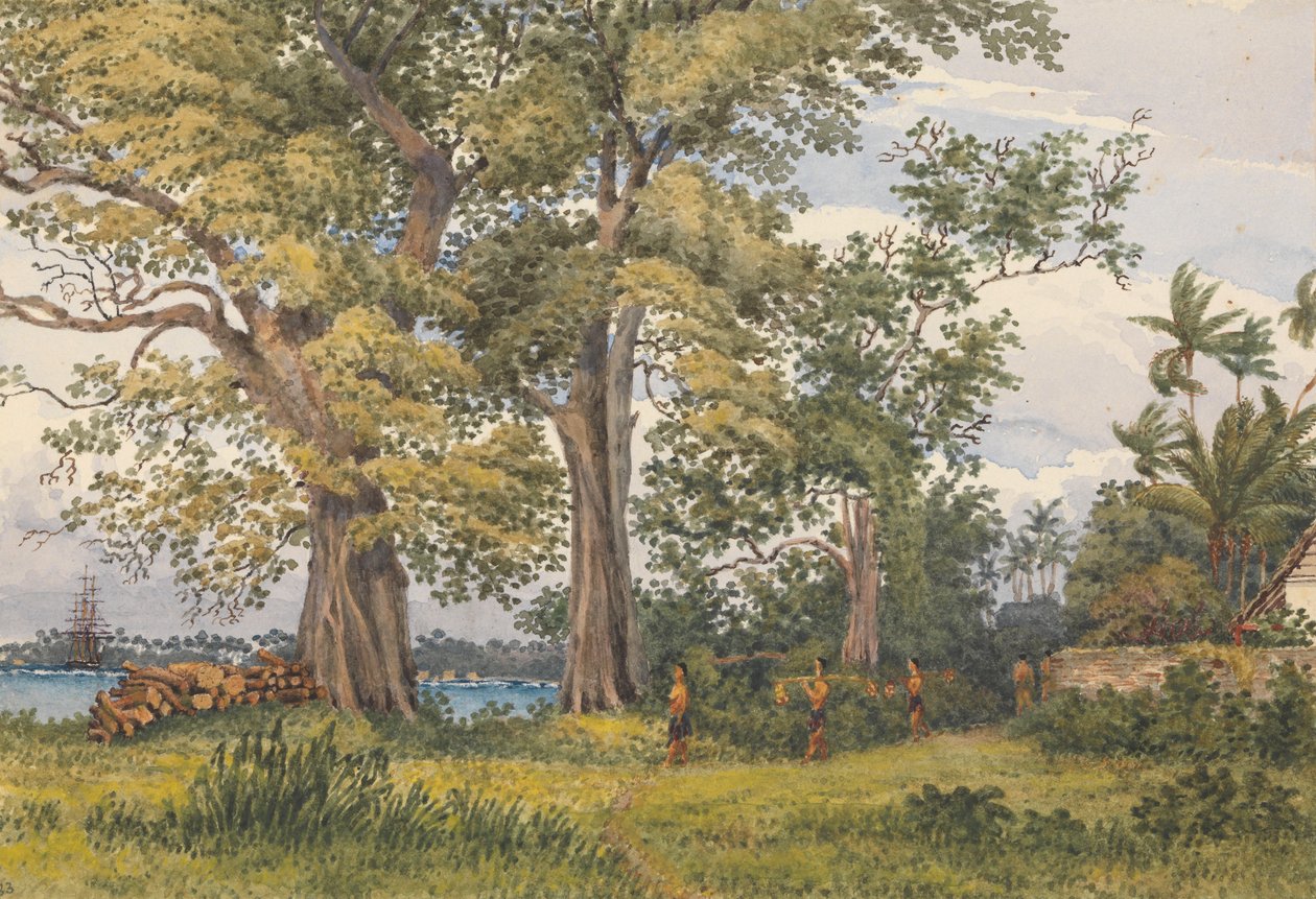Apia Bay, Upolu, Navigators Islands, [Samoa] from Verandah of My Sick Quarters, Novr 6th 1849 by Admiral Sir Edward Gennys Fanshawe