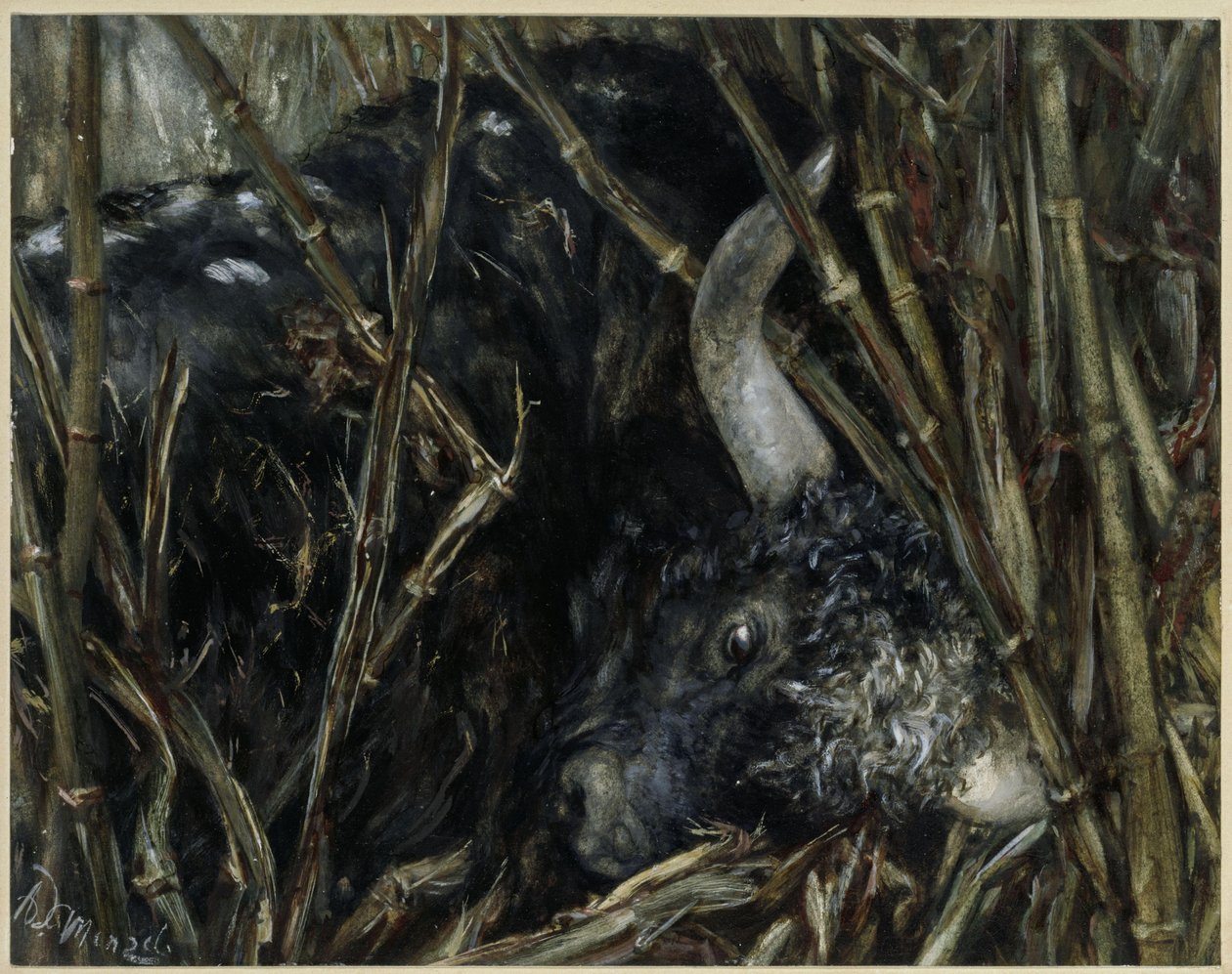 The Yak Bull in the Bamboo. From the „Children
