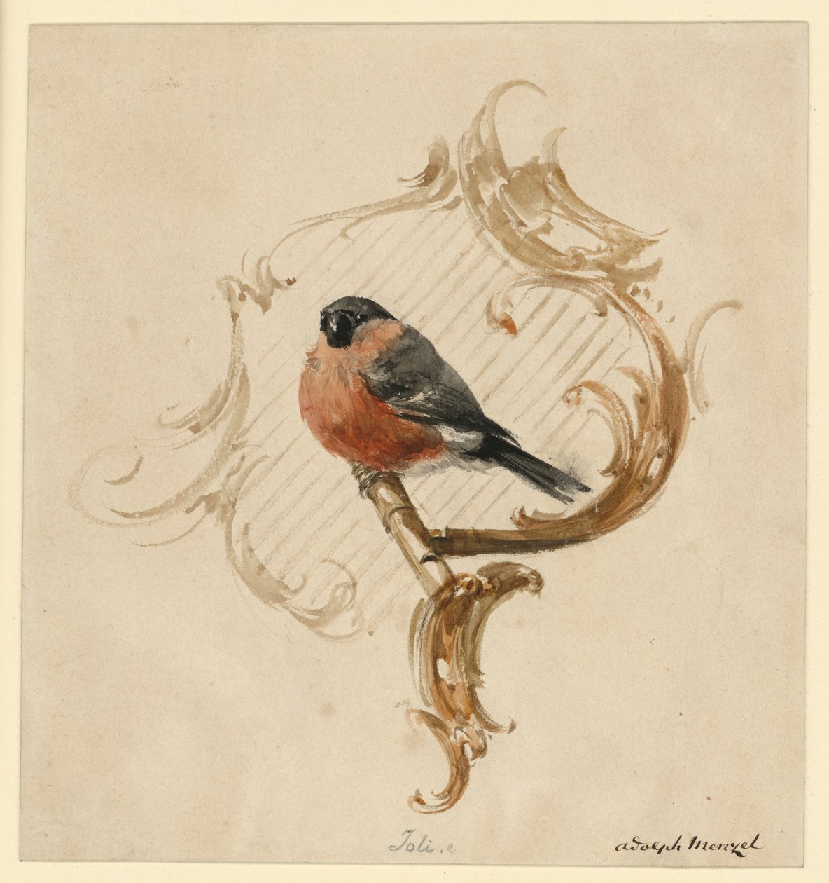 A Bullfinch on a Perch before Rocaille by Adolph Menzel