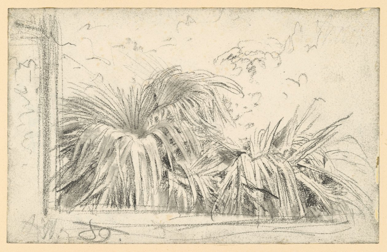 Palm Frond in the Window Frame by Adolph Menzel