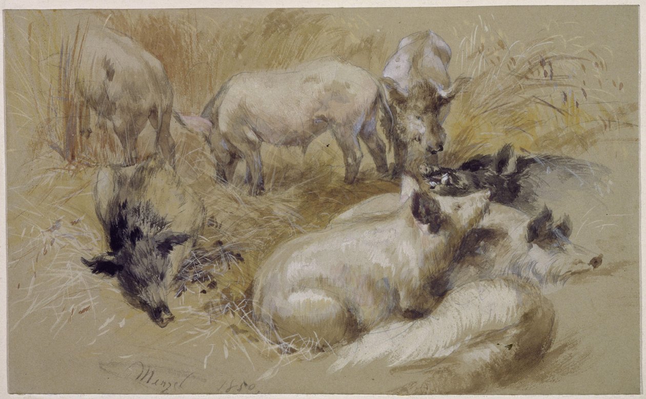Pigs in a Cornfield by Adolph Menzel