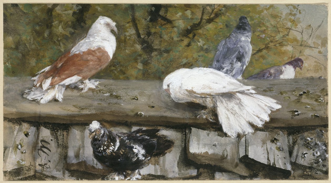 Pigeons on a Wooden Roof. From the "Children