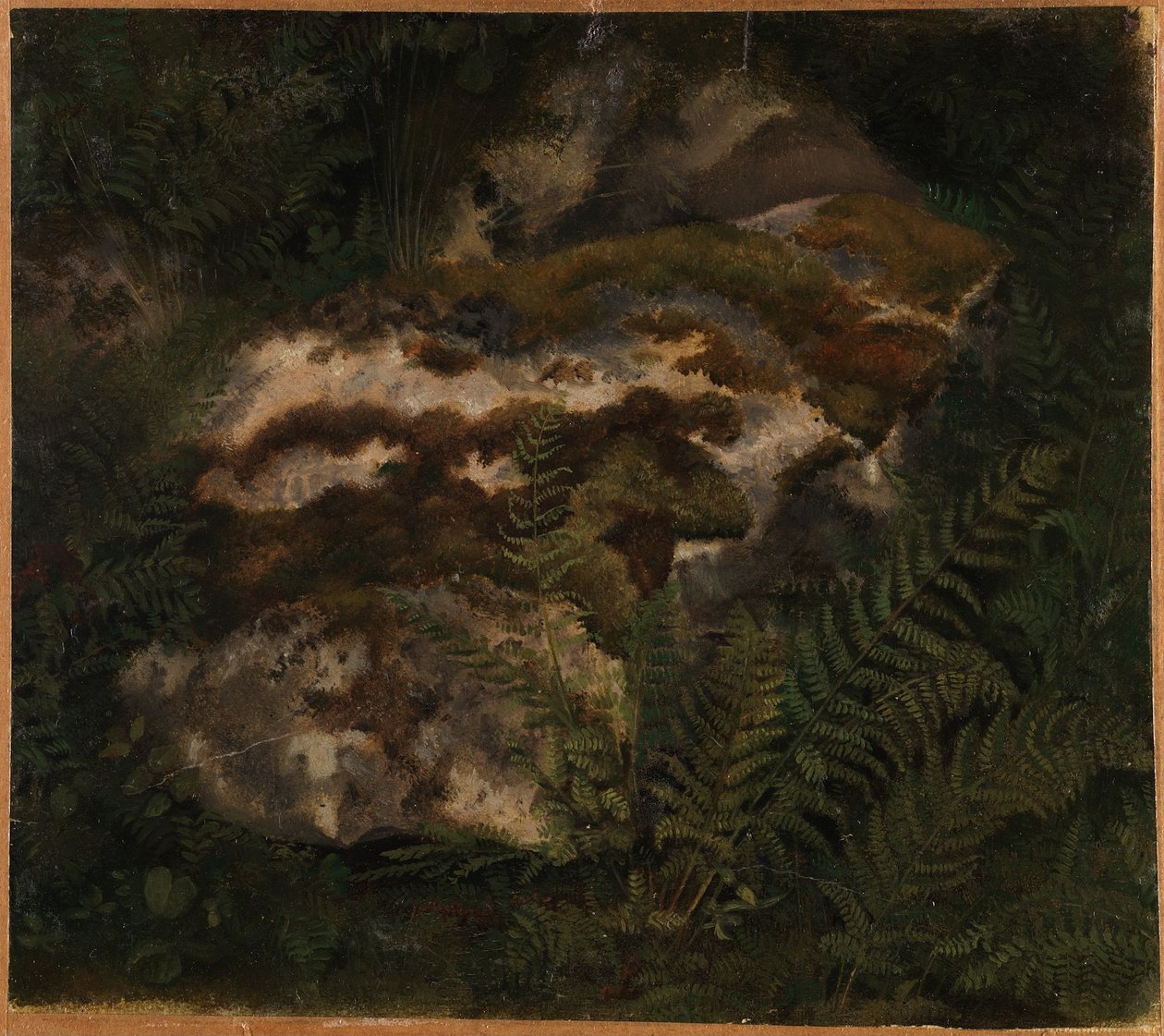 Study of a Moss-covered Stone and Ferns by Adolph Tidemand