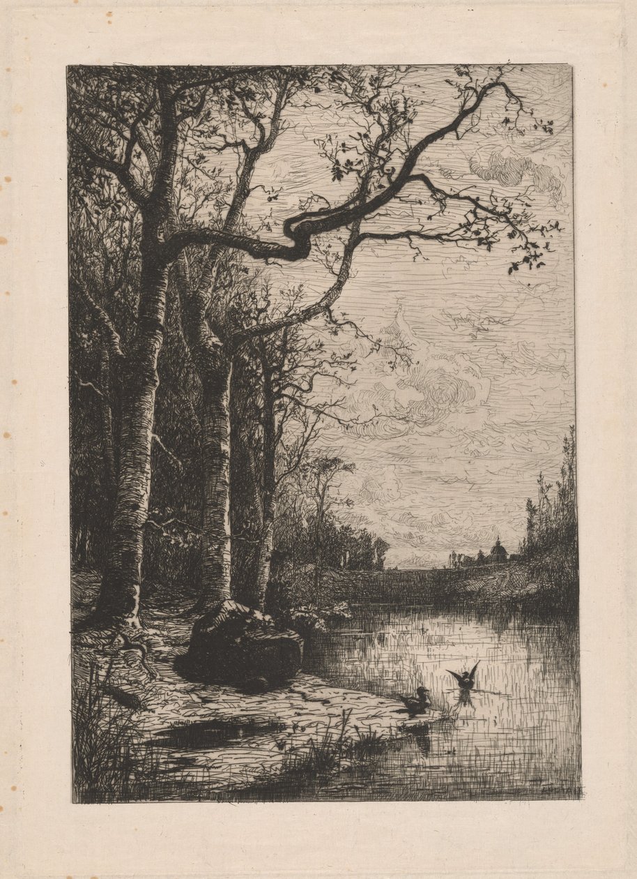 The Marshes of Burbanche by Adolphe Appian