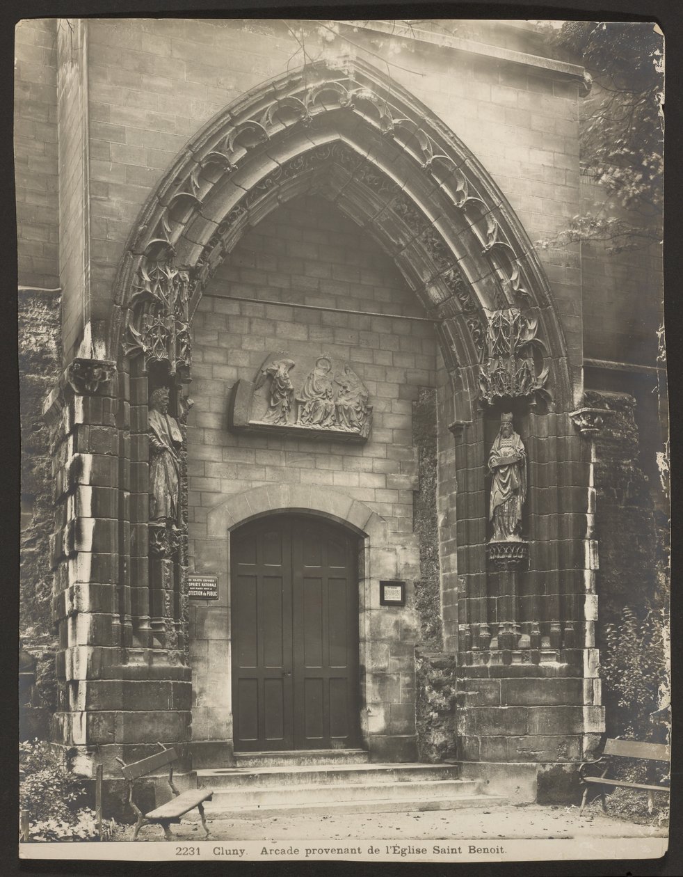 Cluney by Adolphe Braun