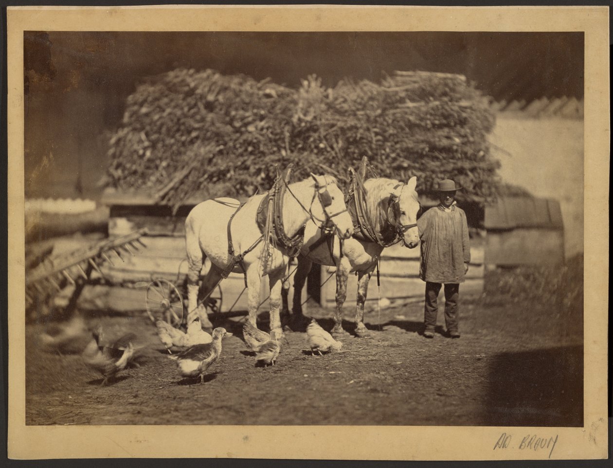Farmyard Scene by Adolphe Braun