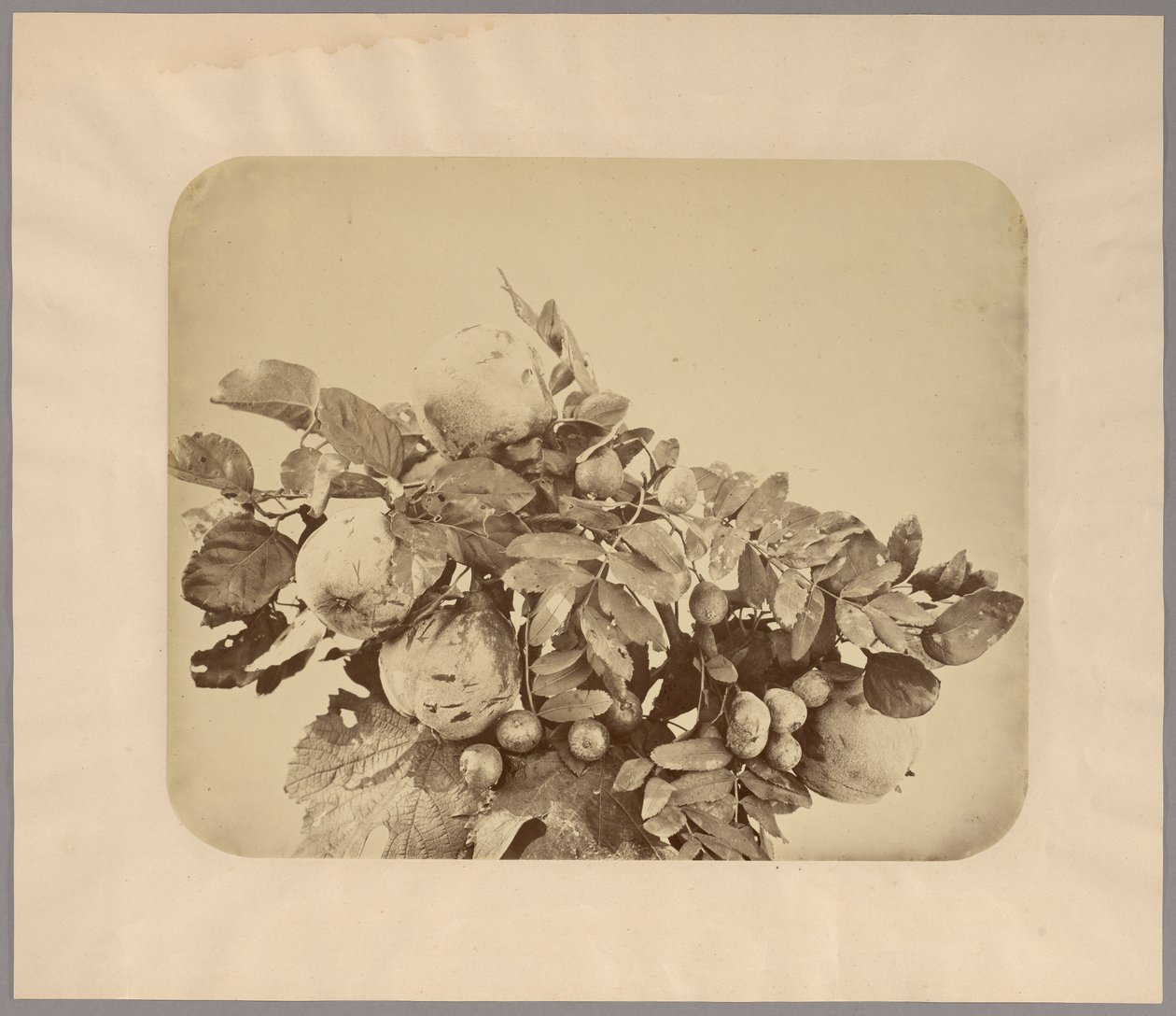 Still Life with Quinces and Berries by Adolphe Braun