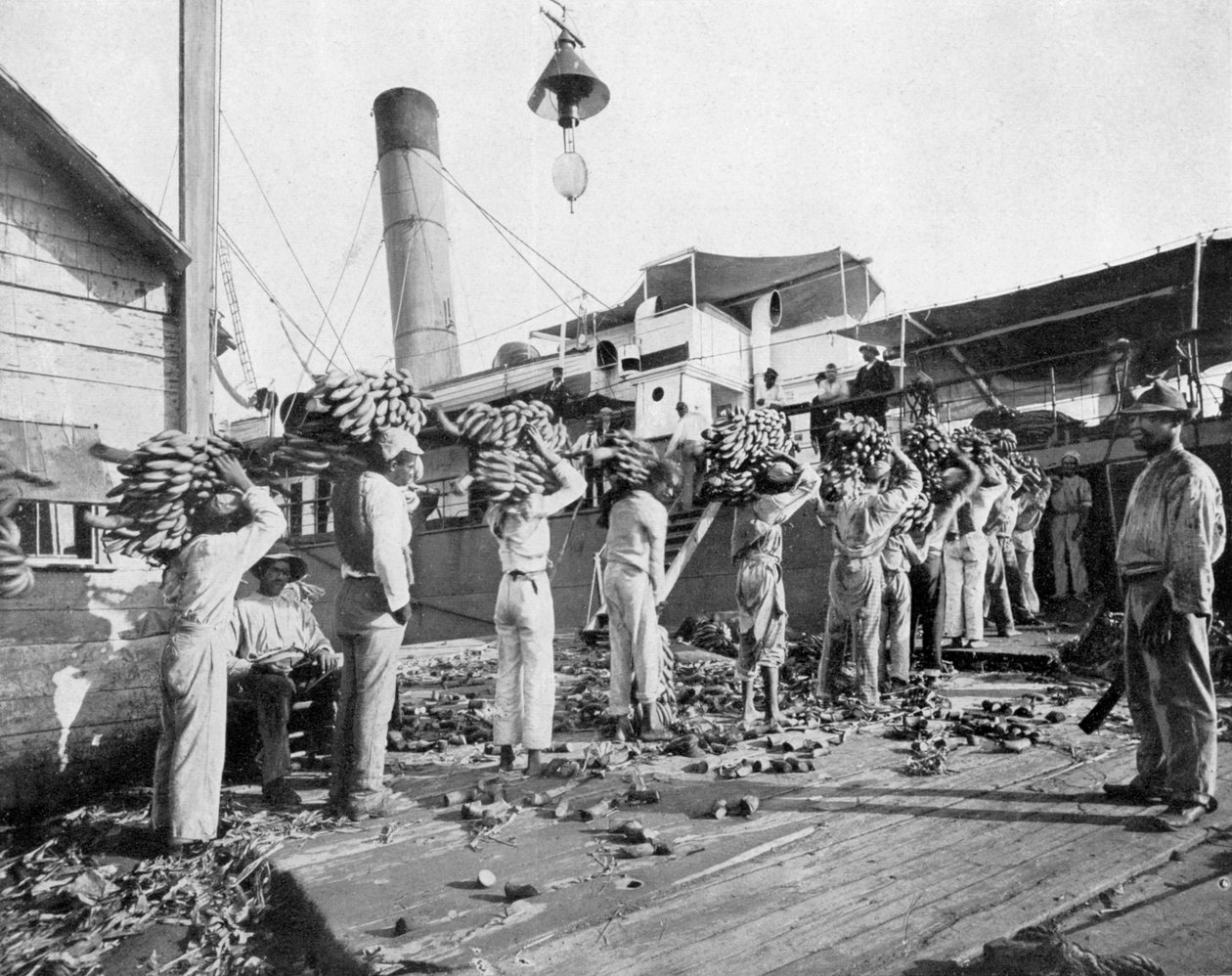 Loading bananas, Port Antonio, Jamaica, c1905 by Adolphe Duperly and Son