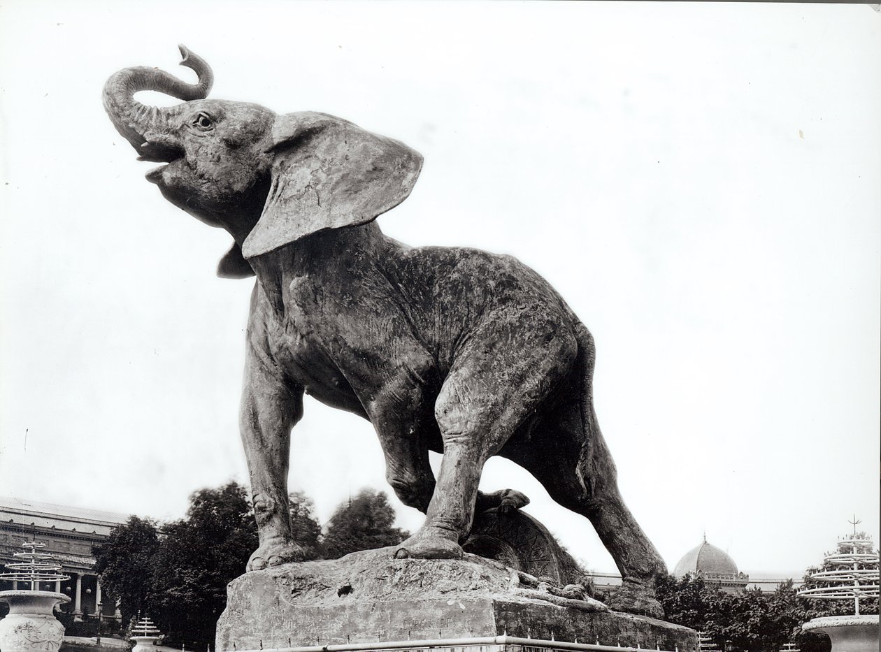 Young Elephant Caught in a Trap, 1878, in front of the Trocadero Palace, Paris, 1888 by Adolphe Giraudon