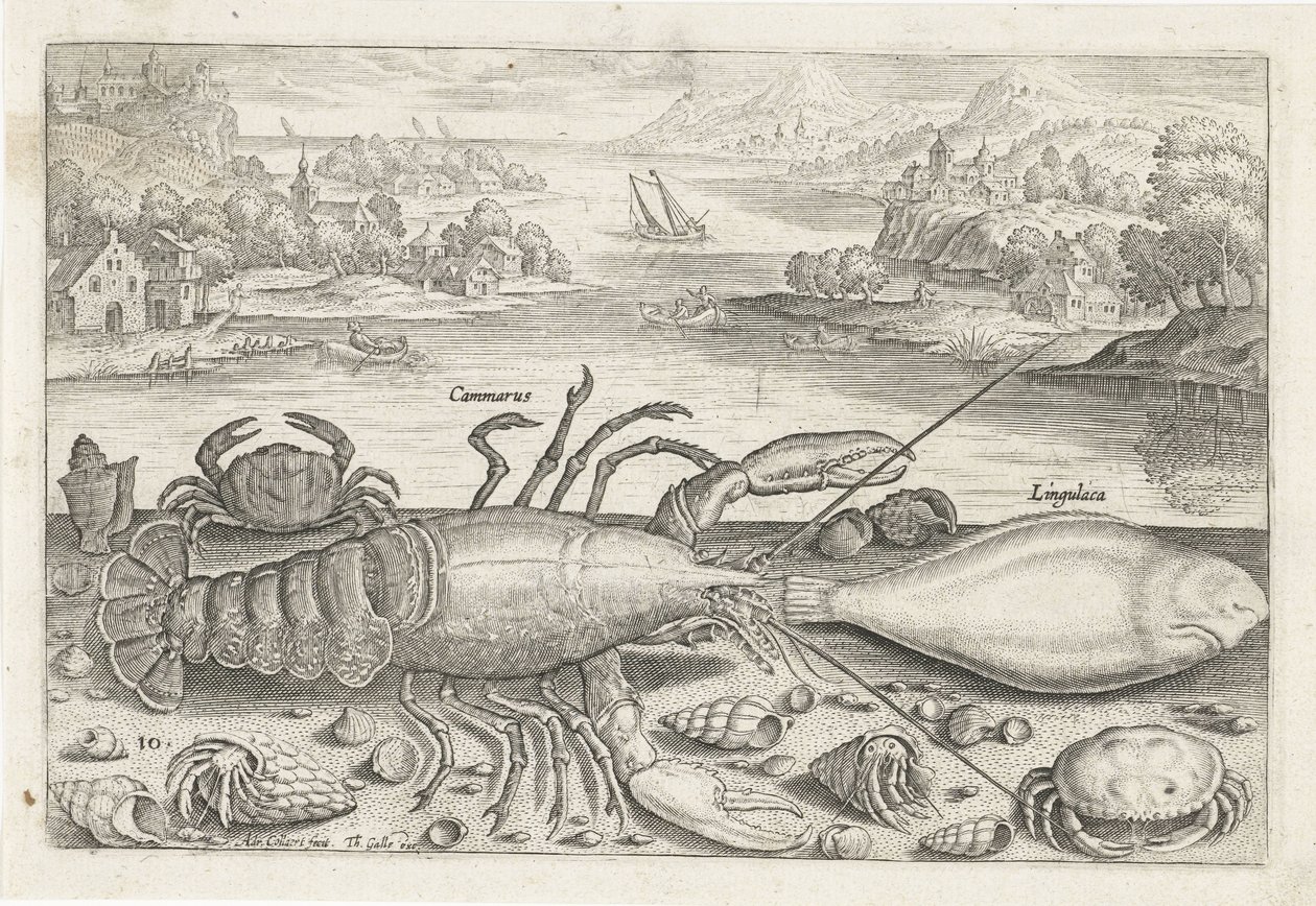 A Fish and Some Shellfish on the Beach by Adriaen Collaert
