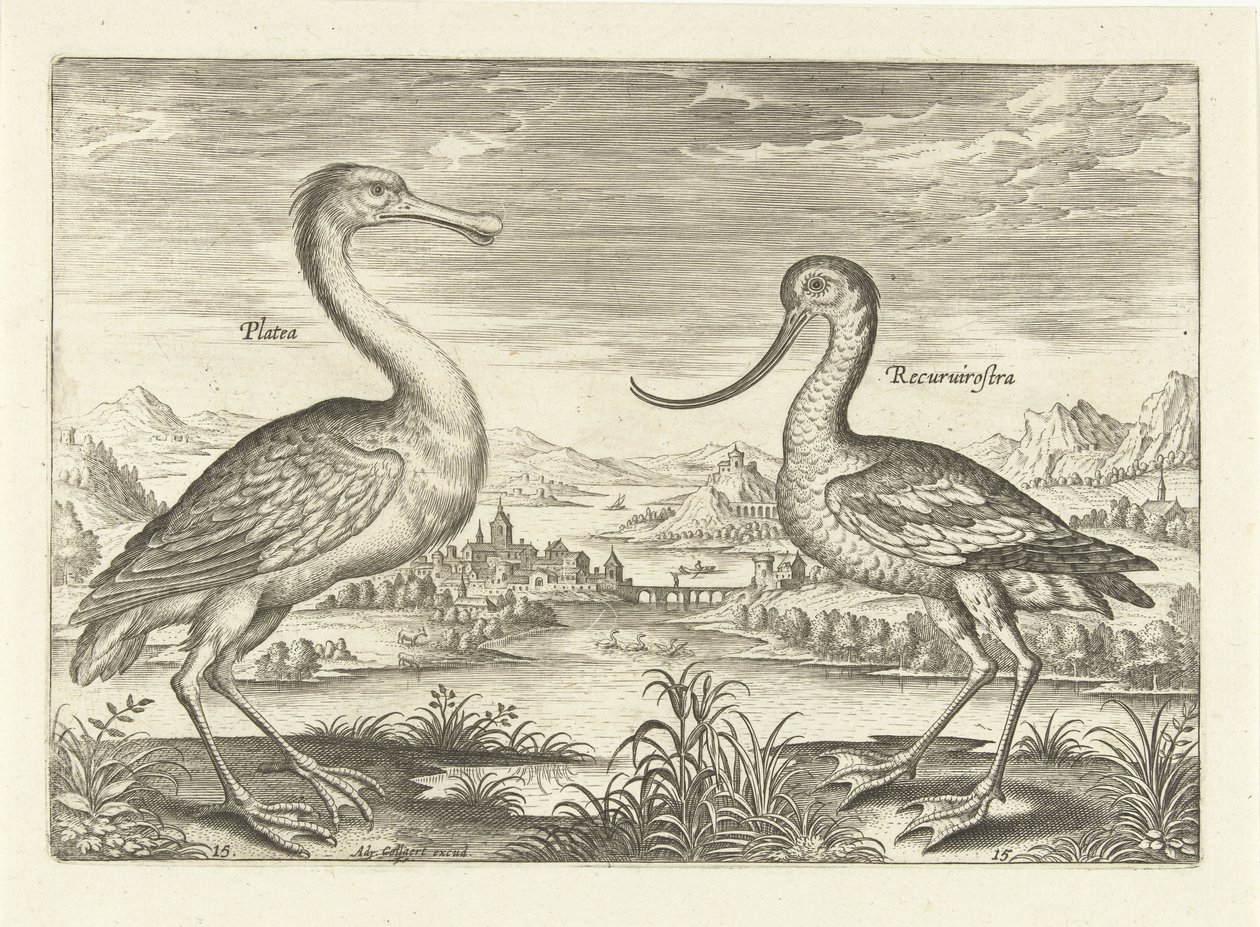 Two Wading Birds in a River Landscape (Birds Series) (Avivm Vivae Series) by Adriaen Collaert