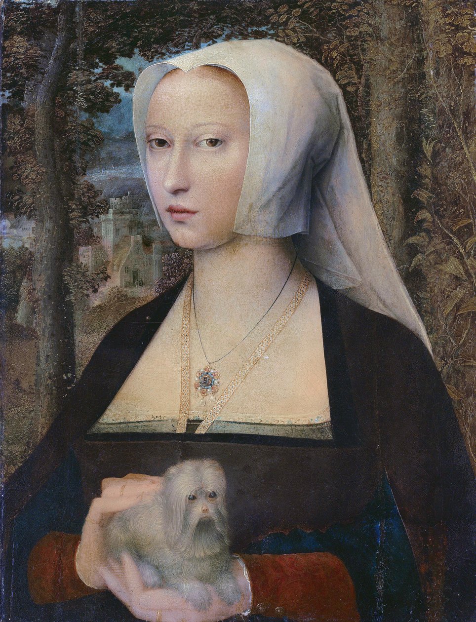Portrait of a Lady, Half-Length, with a Dog by Adriaen Isenbrandt