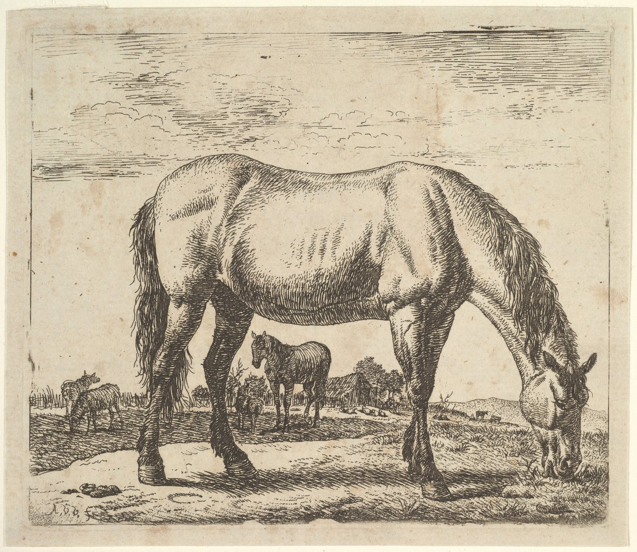 Grazing Horse, from Different Animals by Adriaen van de Velde