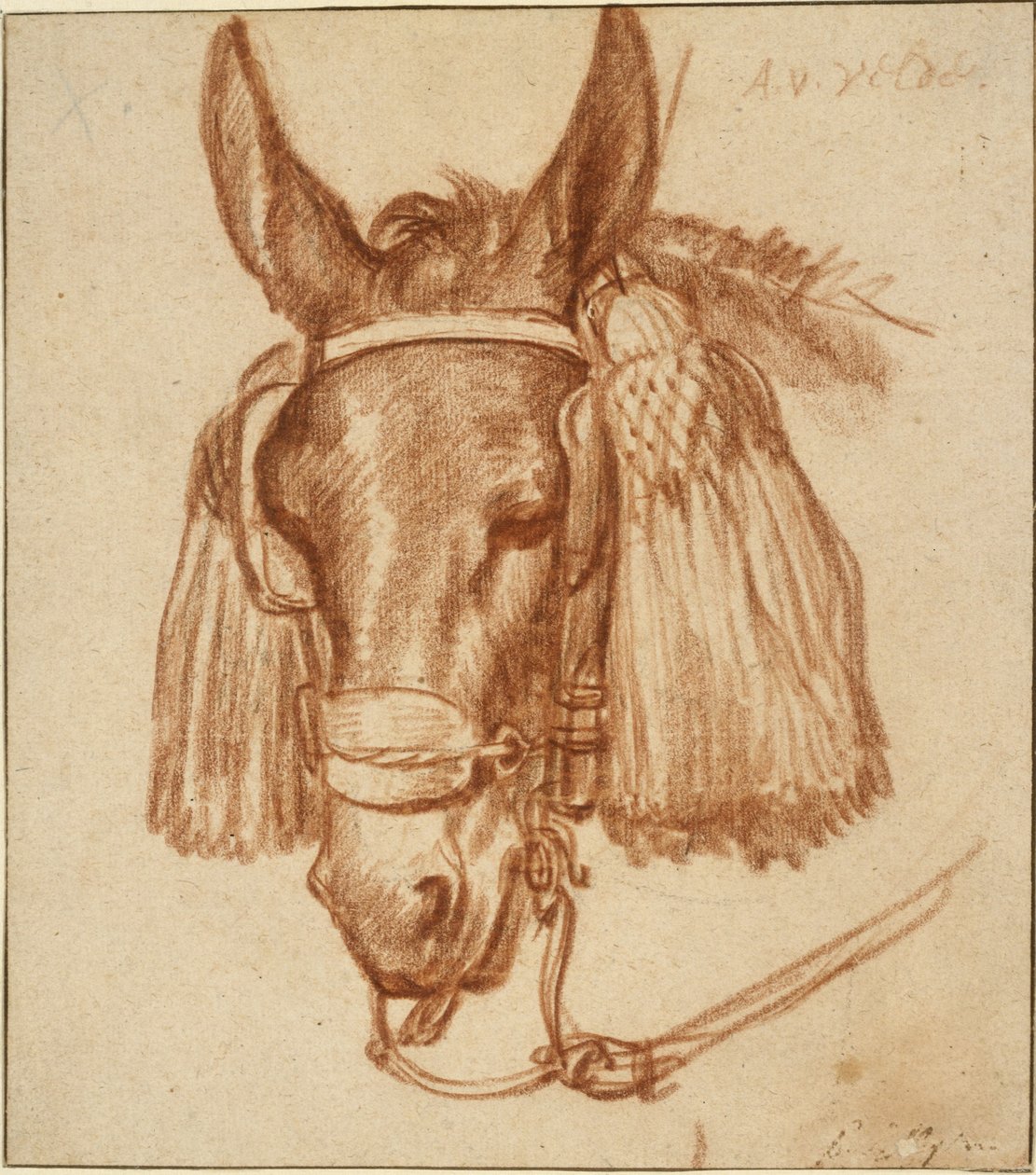 Head of a Donkey with Bridle by Adriaen van de Velde