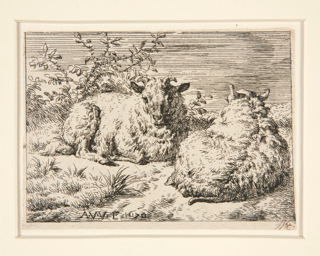 The Two Sheep by Adriaen van de Velde