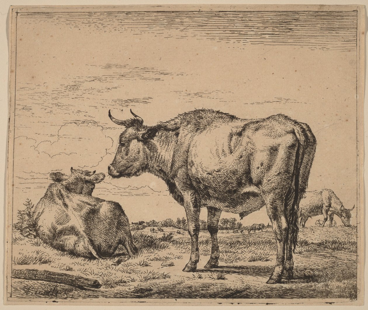 Standing Bull by Adriaen van de Velde