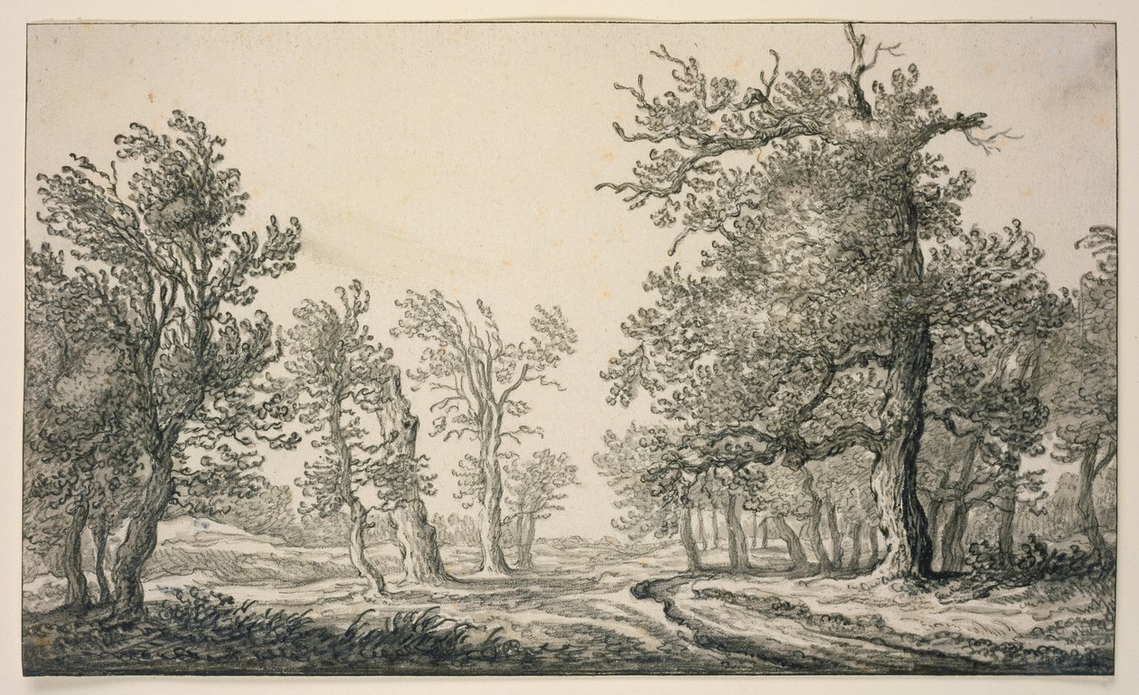 Path through an Oak Forest by Aelbert Cuyp