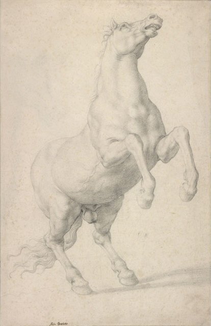 Rearing Horse by Agnolo Bronzino
