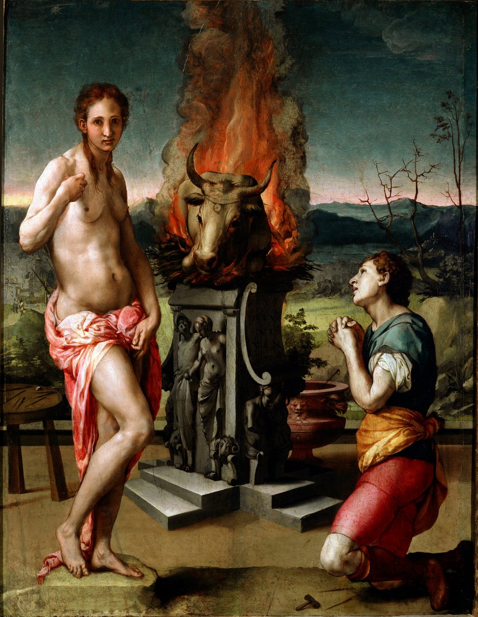 Pygmalion and Galatee by Agnolo Bronzino: Fine art print