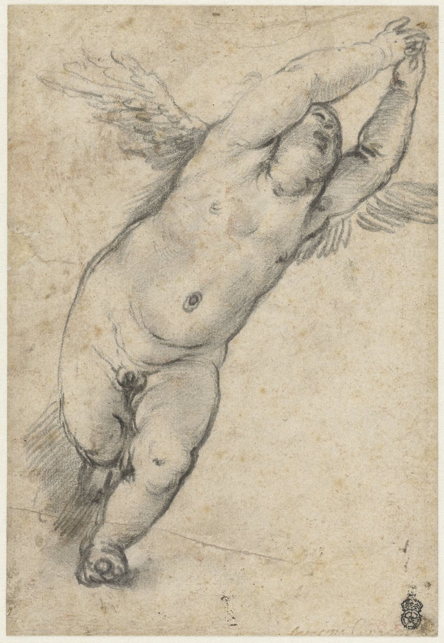 Flying Putto with Raised Arms by Agostino Carracci (attributed to)