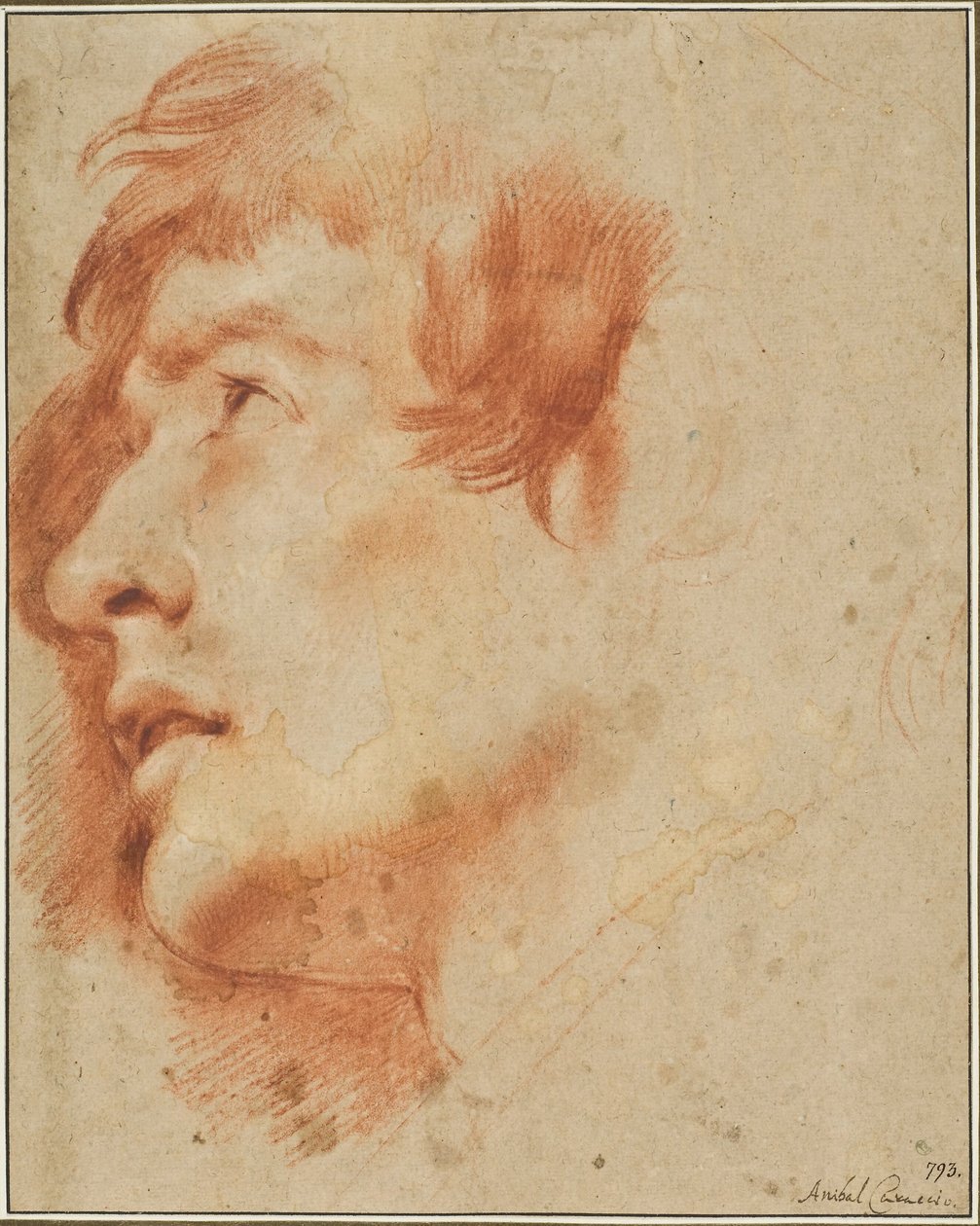 Head of a Young Man, Looking Up by Agostino Carracci