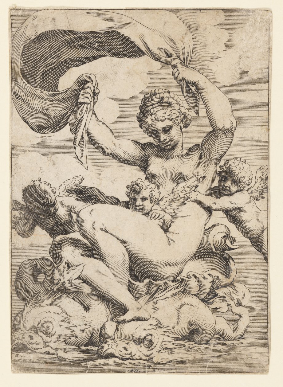 Venus (or Galatea) and Cupids Supported by Dolphins by Agostino Carracci
