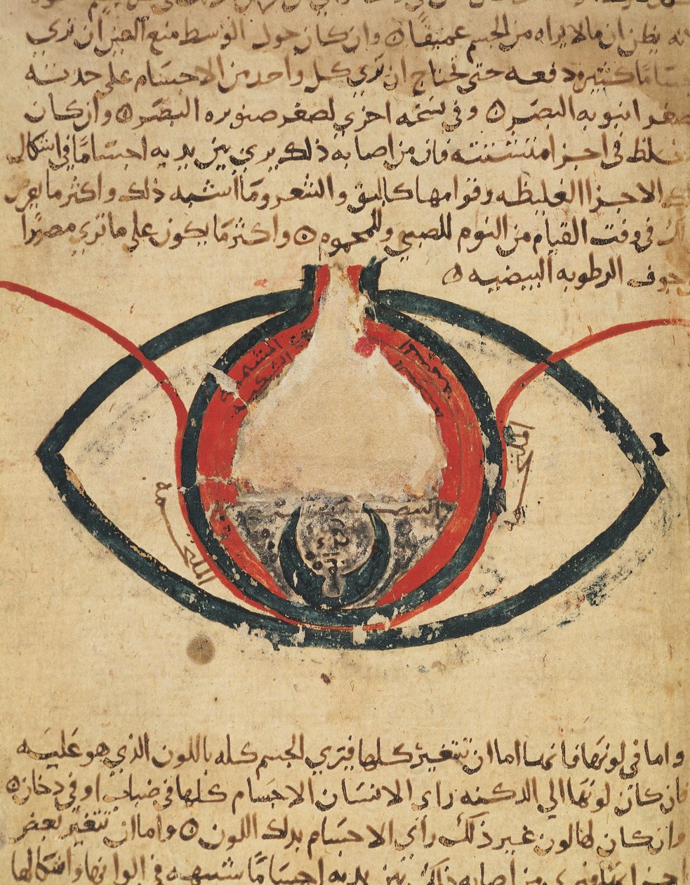 Anatomy of the Eye, from a book on eye diseases by Al Mutadibi