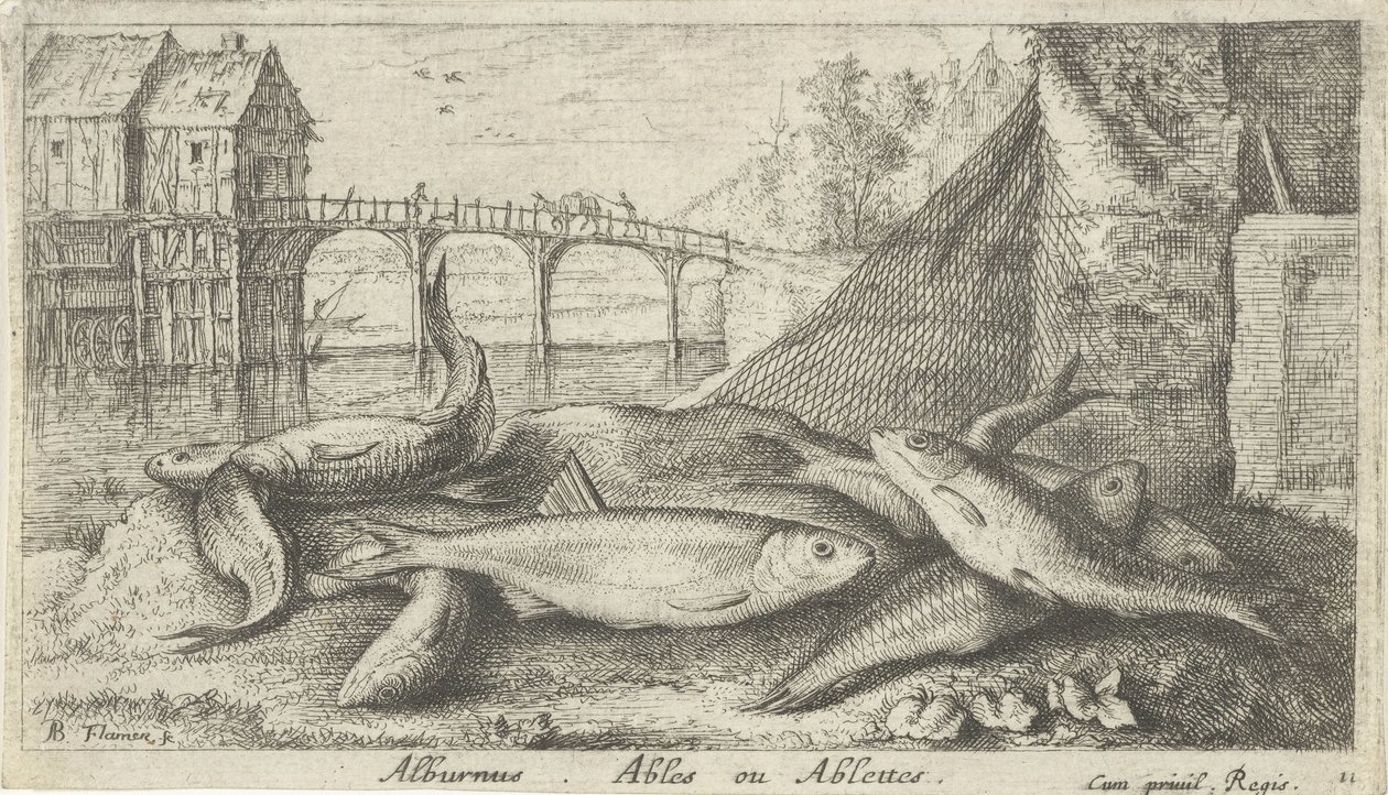 Bleaks on a Riverbank by Albert Flamen