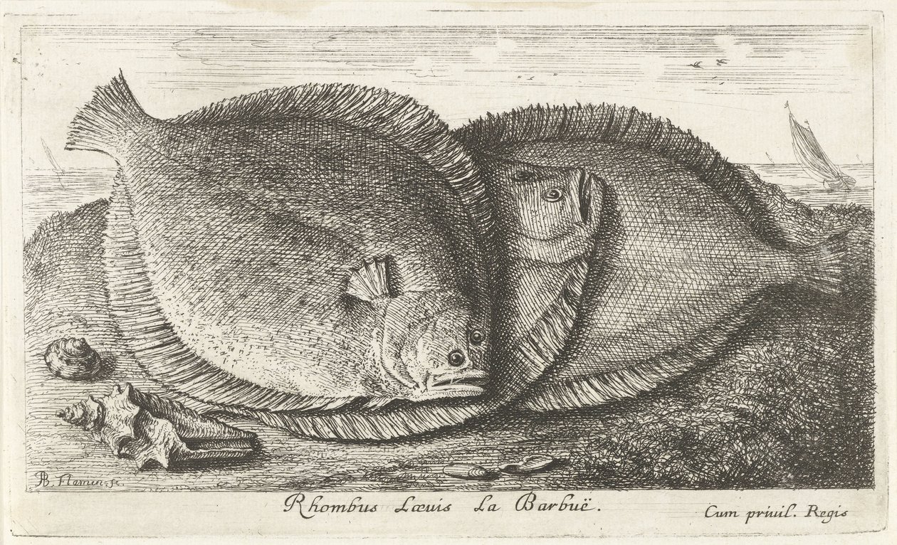 Three Girls on the Beach (Fish and Other Sea Creatures - Saltwater Third Series) by Albert Flamen