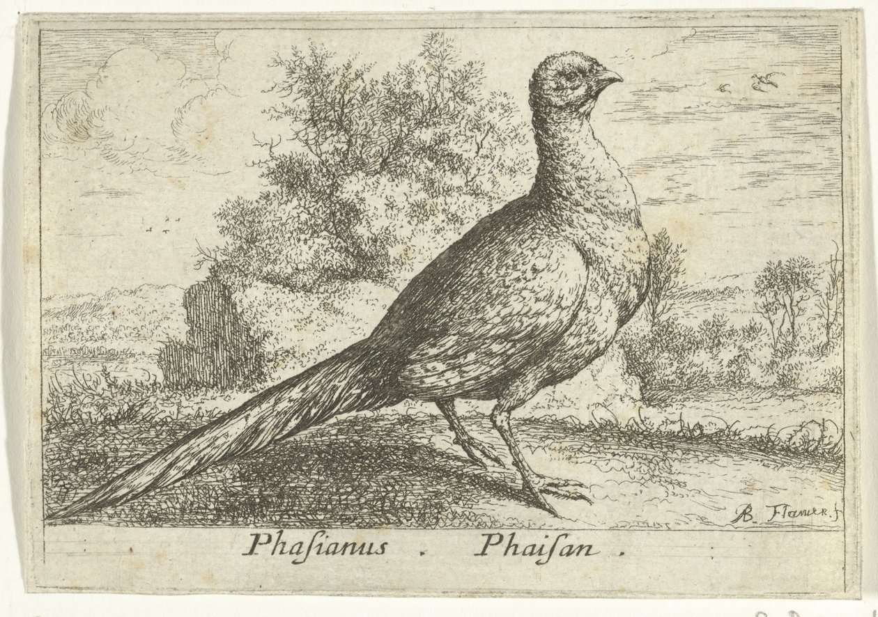 Landscape with Pheasant (title on object) (series title) by Albert Flamen