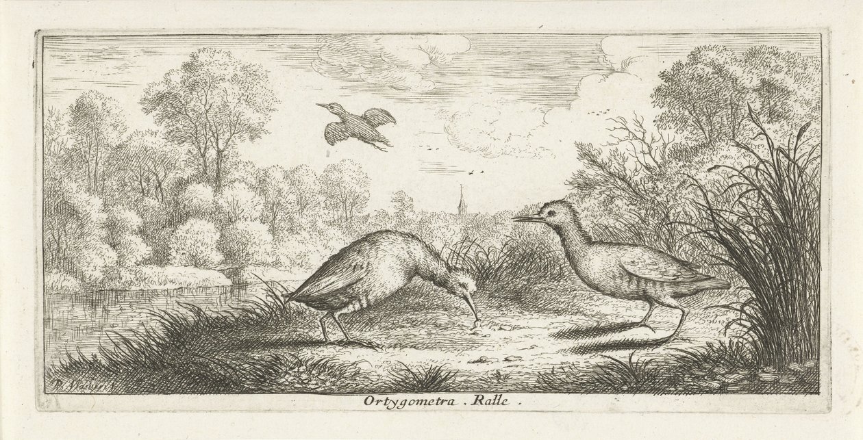 Landscape with Two Rails on a Shore (Bird Book) by Albert Flamen