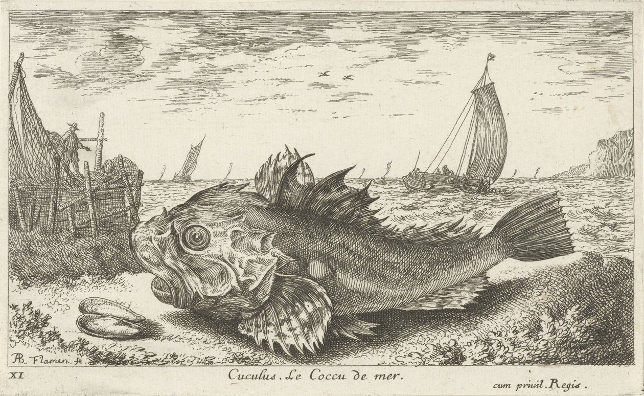 Poon on the Beach (Fish and Other Sea Creatures - Saltwater First Series) by Albert Flamen