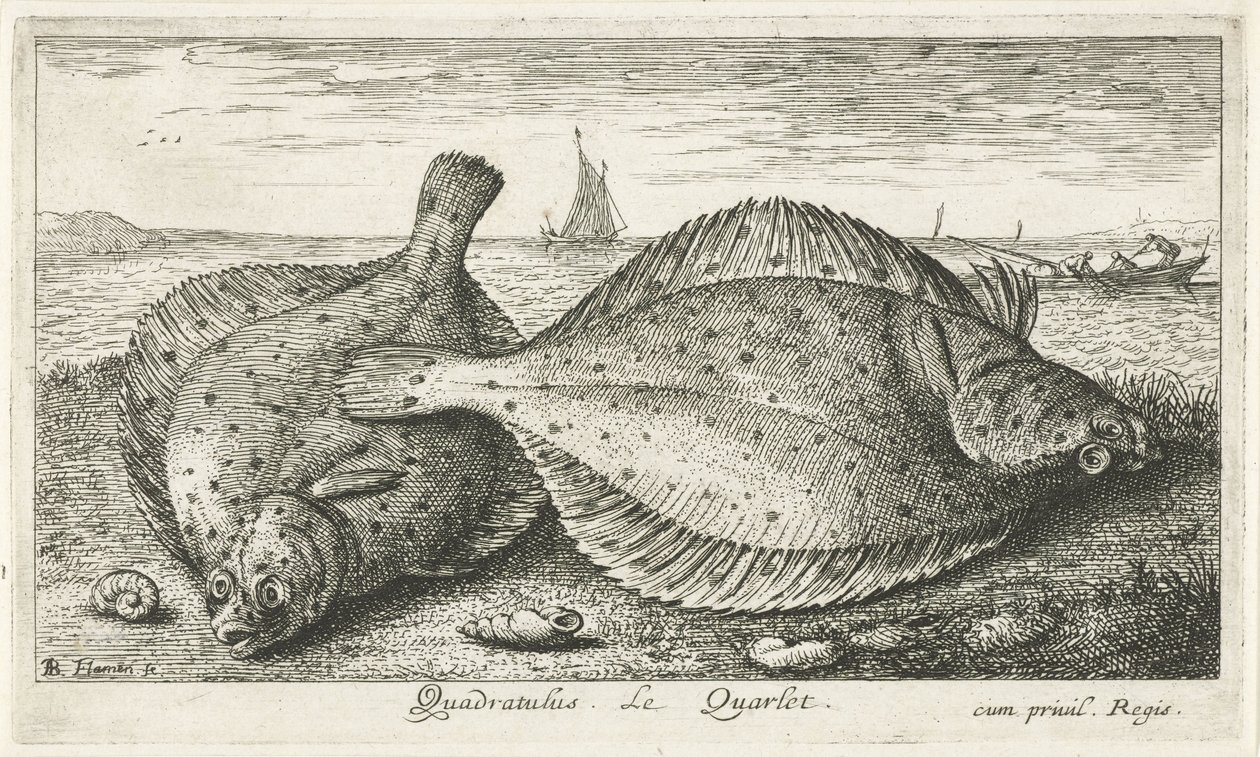 Two Plaice on the Beach (series title: Fish and Other Sea Creatures - Saltwater Third Series) by Albert Flamen