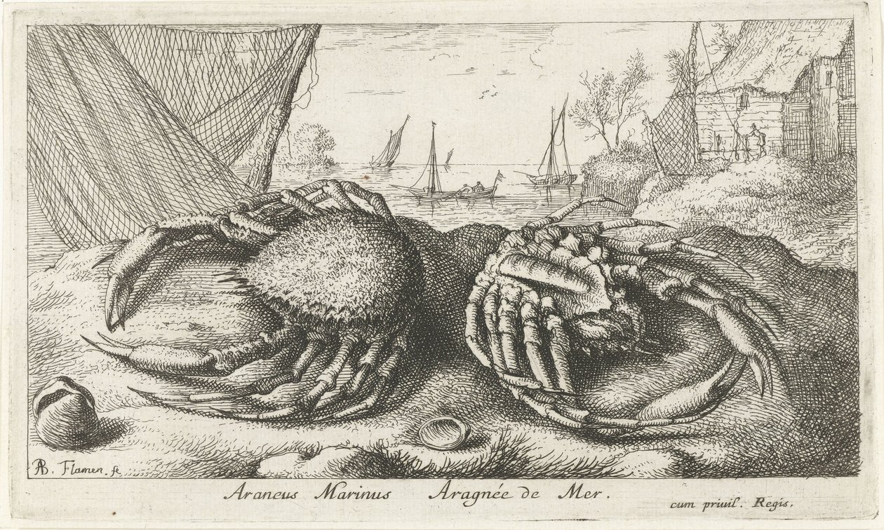 Two Spider Crabs by a Fishing Net (Saltwater Series) by Albert Flamen