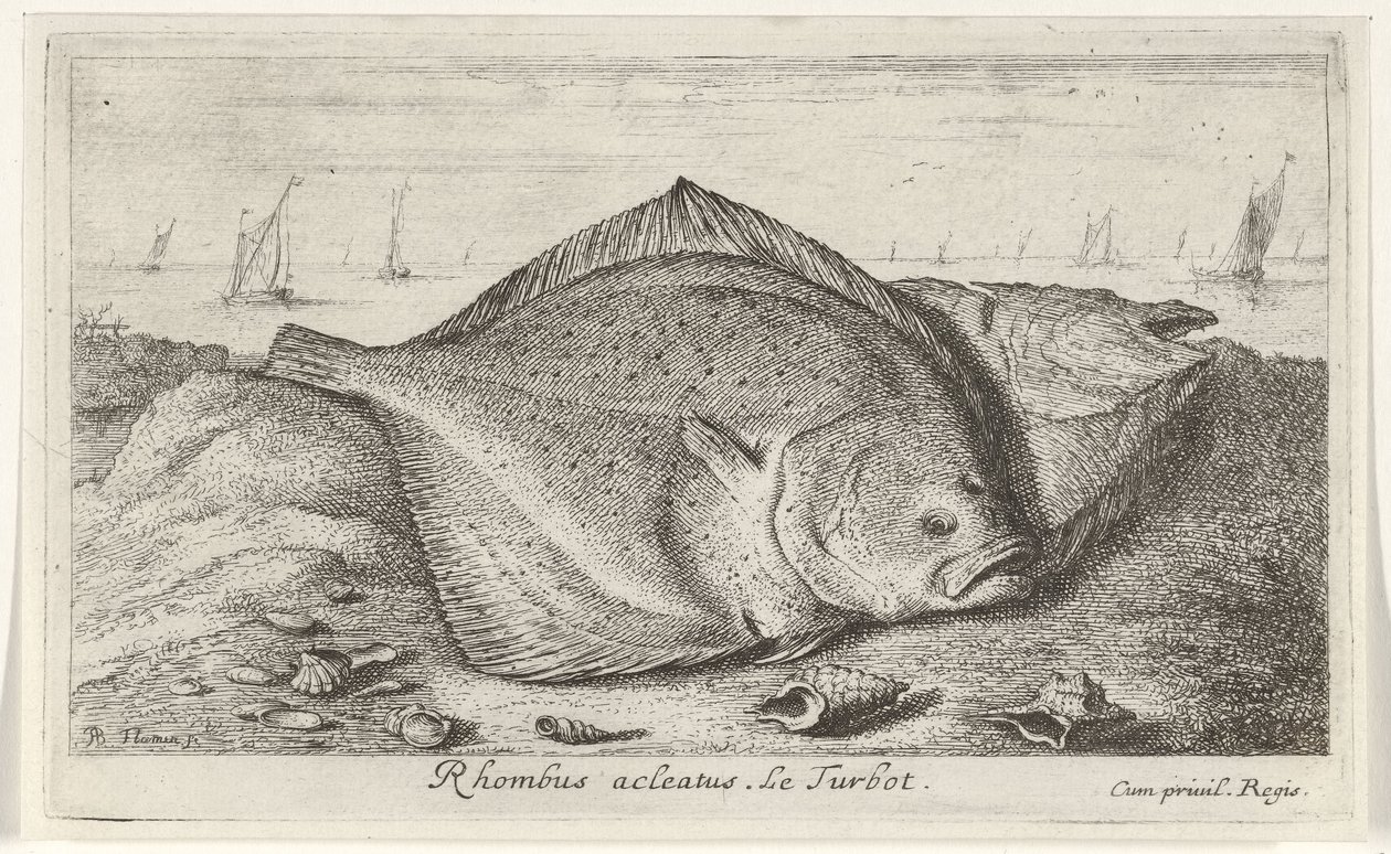 Two Turbots on the Beach by Albert Flamen