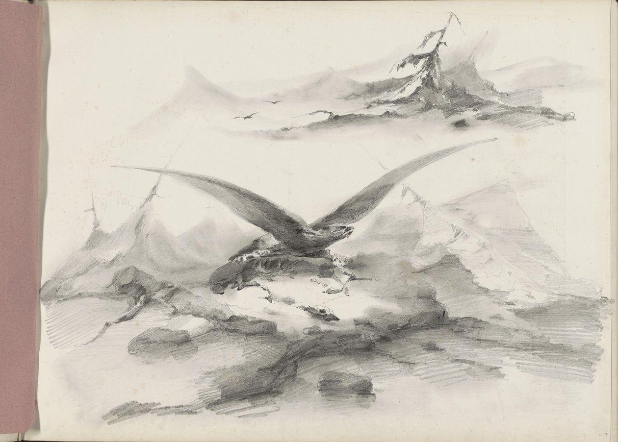Eagle Flying Over a Coast with Mountains by Albertus van Beest