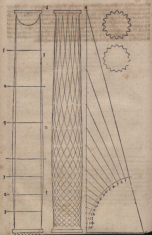 Bulging Column Shape and Column Cross-Sections by Albrecht Dürer