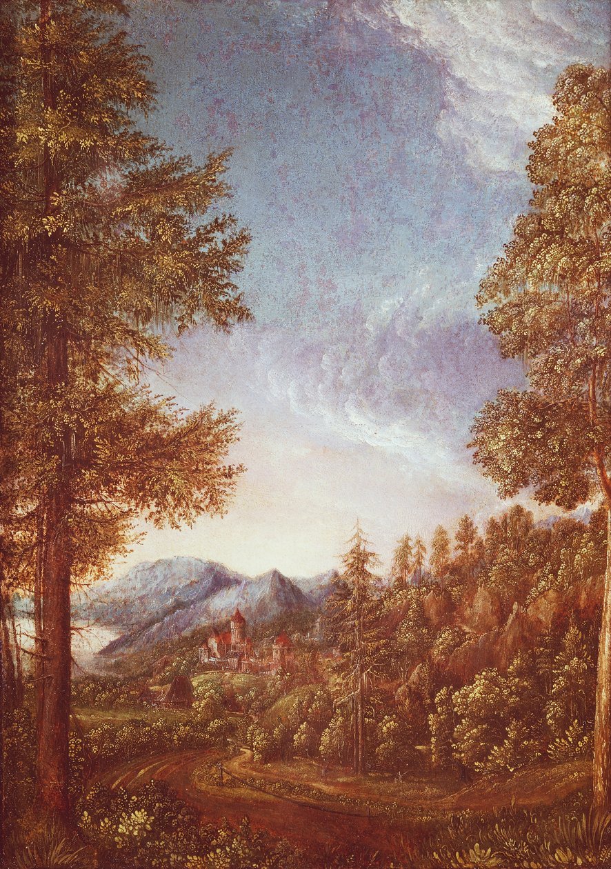 Danube landscape with Castle Worth by Albrecht Altdorfer