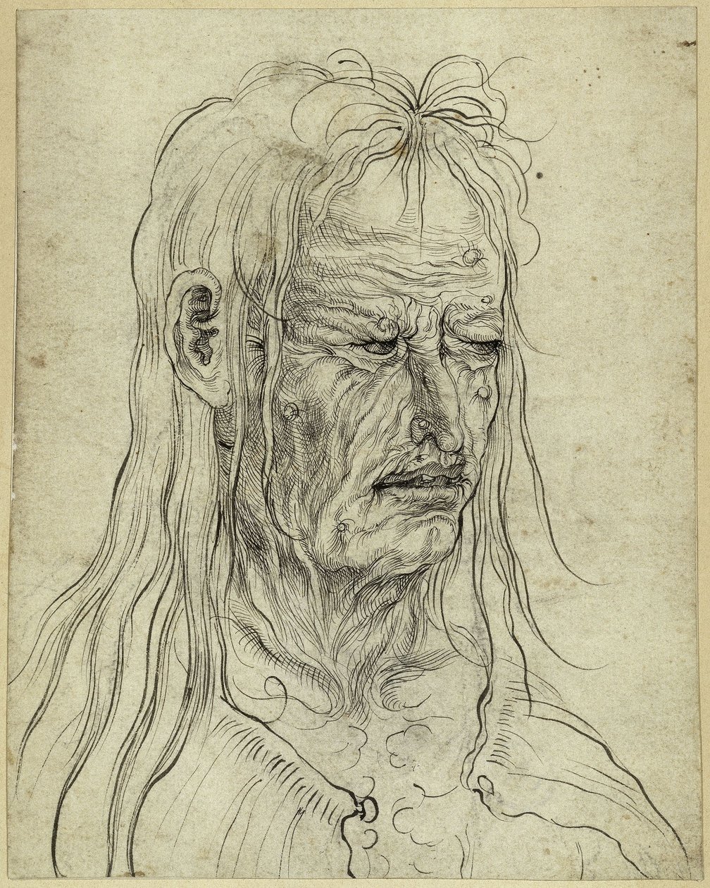 Head of an Ugly Old Woman, Facing Right by Albrecht Altdorfer