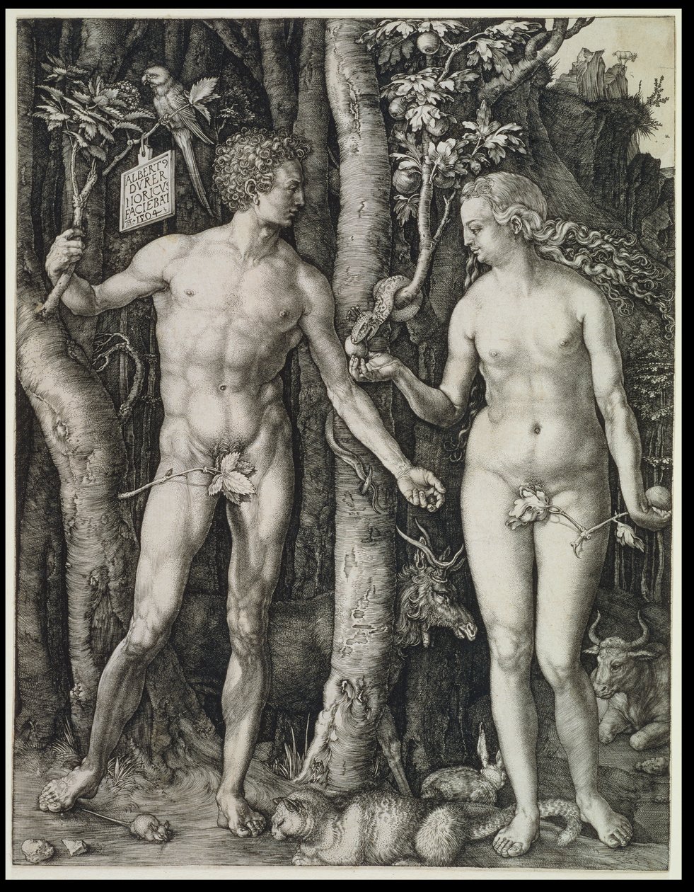 Adam and Eve (The Fall of Man) by Albrecht Dürer