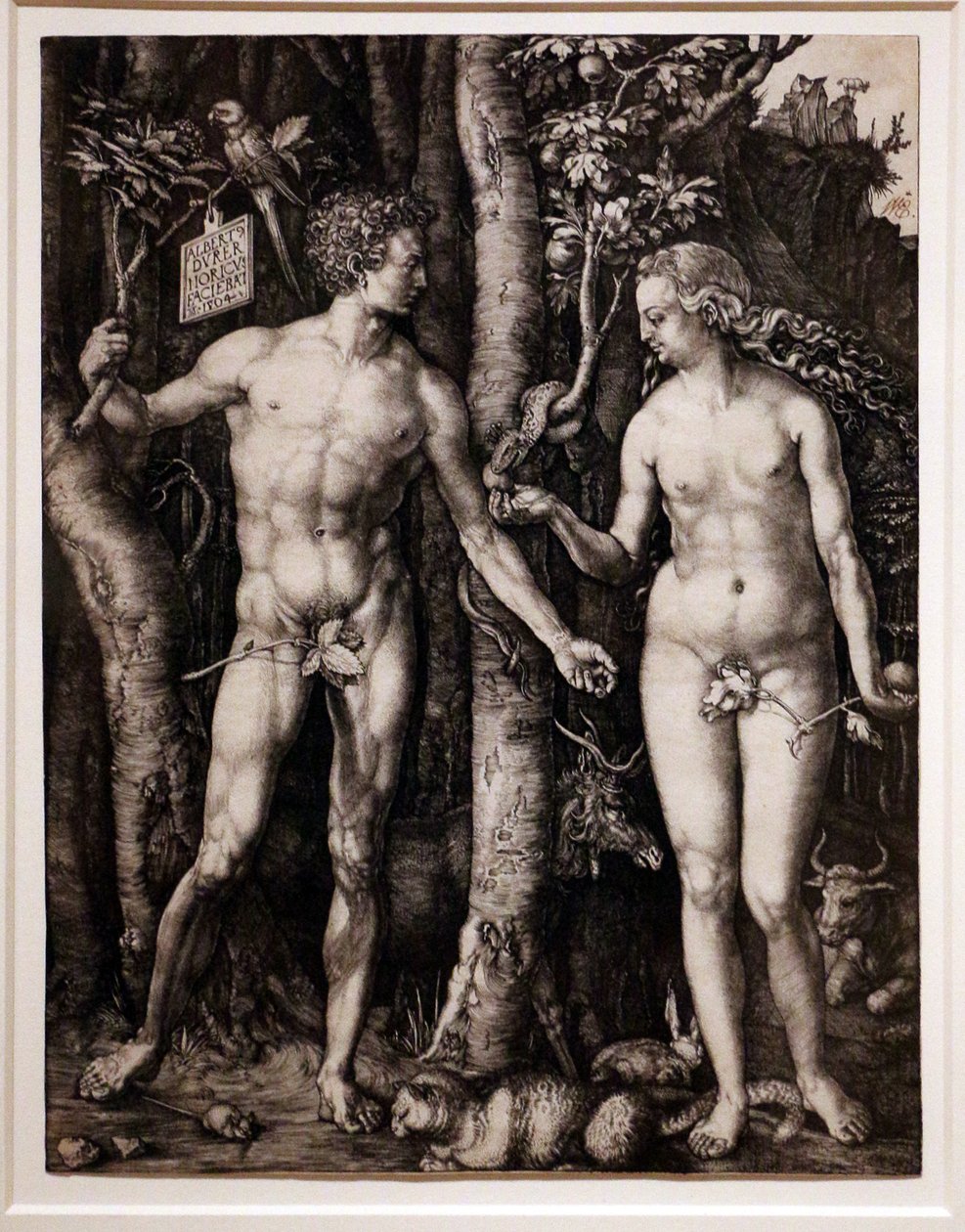 Adam and Eve by Albrecht Dürer