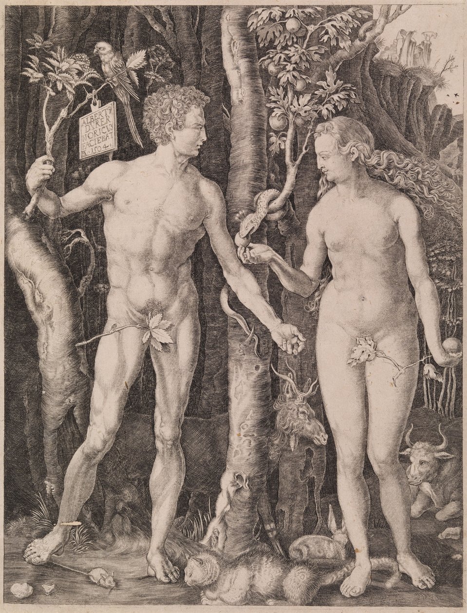 Adam and Eve by Albrecht Dürer