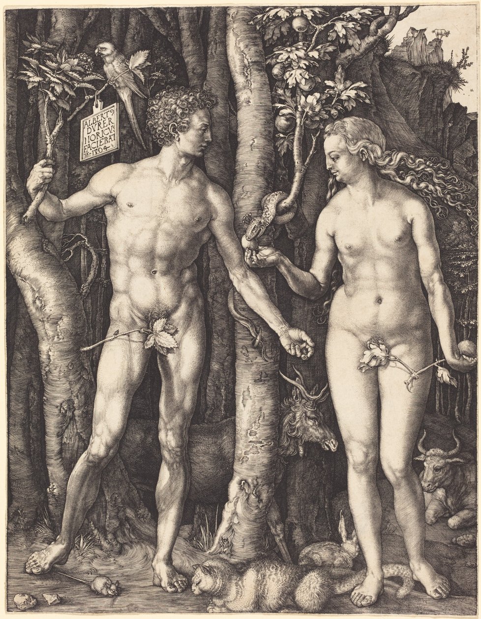 Adam and Eve by Albrecht Dürer