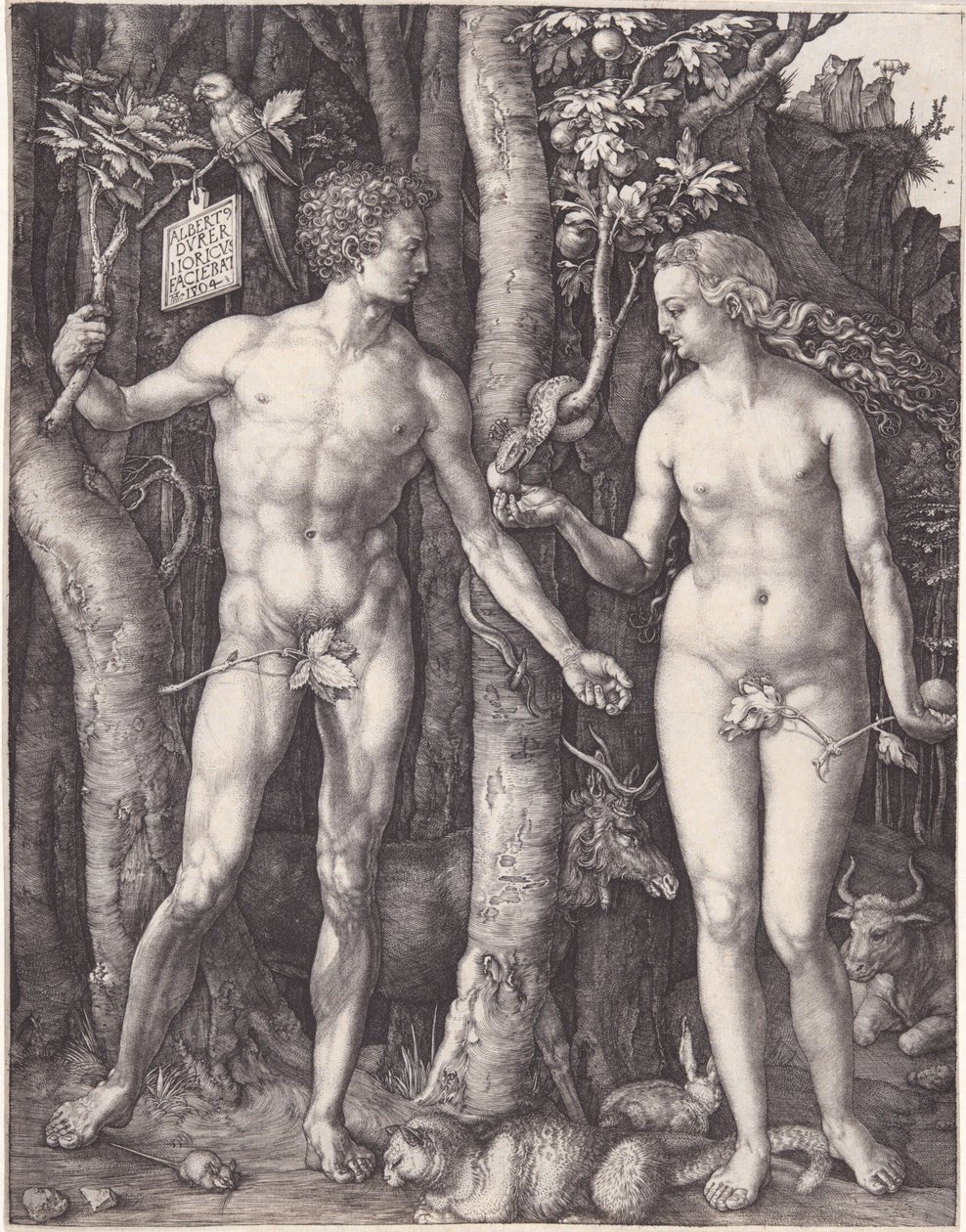 Adam and Eve by Albrecht Dürer