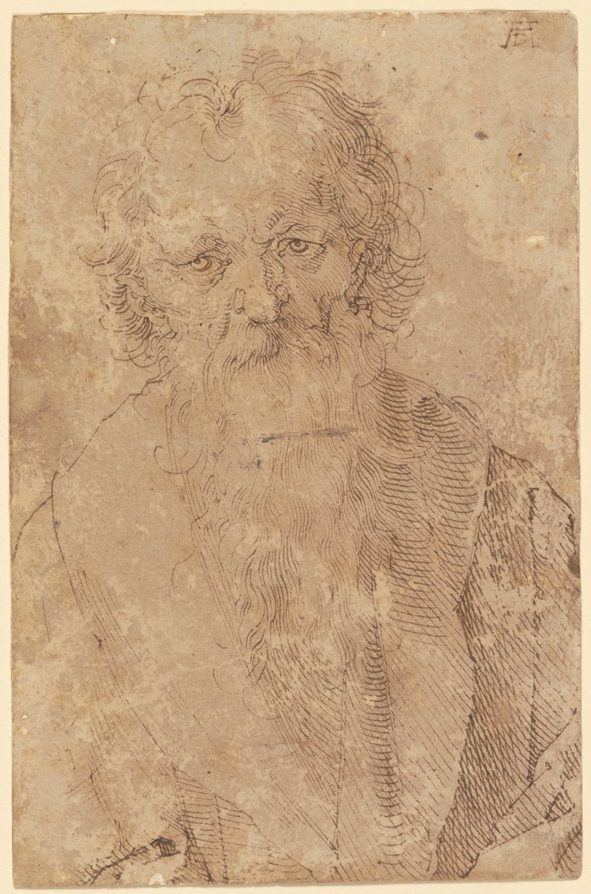 Bearded Old Man by Albrecht Dürer